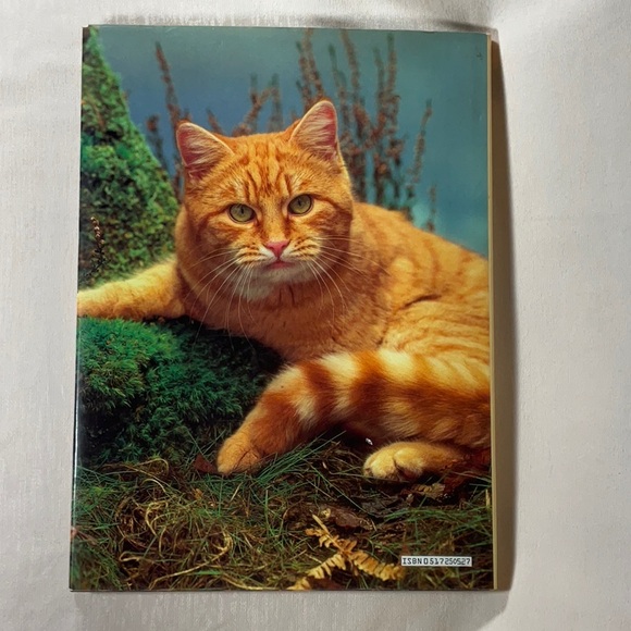 Cat Catalog, Cats, What My Cat has Taught Me About Life-Bundle of 3 Cat Books - Picture 5 of 12